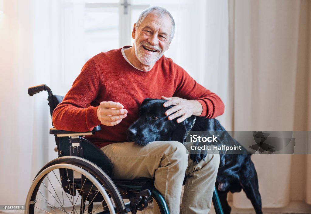 Handicap/Aging