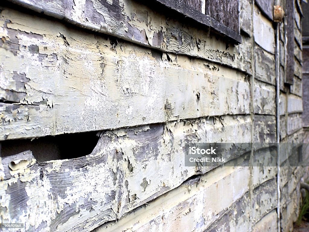 Rotten Wood